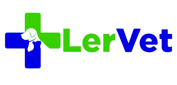 Design_sem_nome-removebg-preview Design_sem_nome-removebg-preview